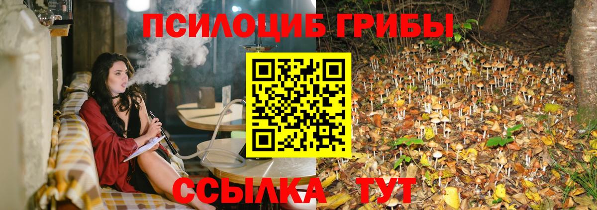 Гурьевск  Псилоцибиновые грибы мухоморы  Вход с VPN 